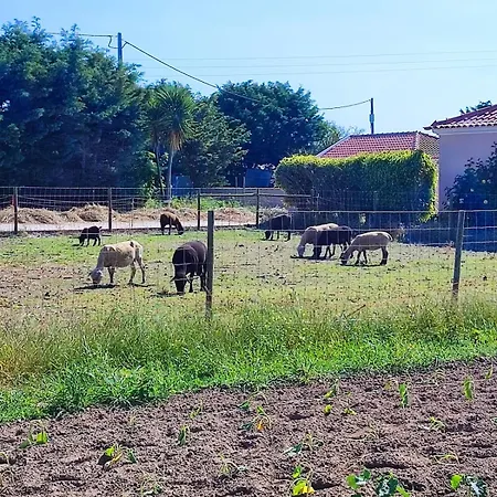 Granja Dom wakacyjny *